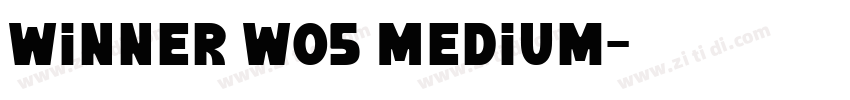 Winner W05 Medium字体转换